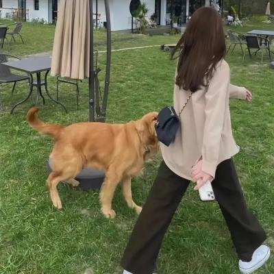 一切全包